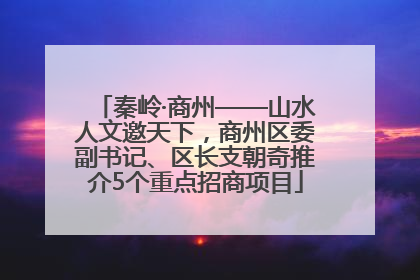 秦岭·商州——山水人文邀天下，商州区委副书记、区长支朝奇推介5个重点招商项目