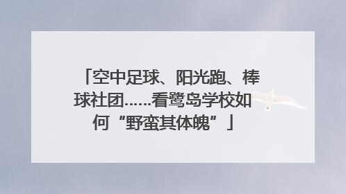 空中足球、阳光跑、棒球社团……看鹭岛学校如何“野蛮其体魄”