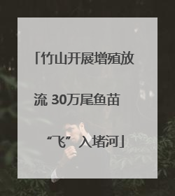 竹山开展增殖放流 30万尾鱼苗“飞”入堵河