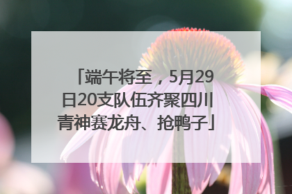 端午将至，5月29日20支队伍齐聚四川青神赛龙舟、抢鸭子