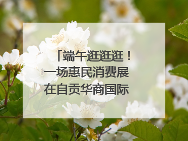 端午逛逛逛！一场惠民消费展在自贡华商国际城开启｜美好生活有“盐”味
