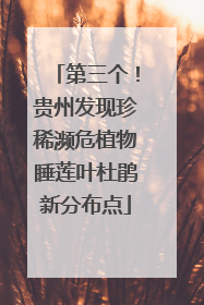 第三个！贵州发现珍稀濒危植物睡莲叶杜鹃新分布点