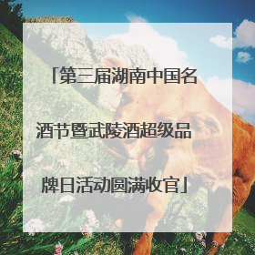 第三届湖南中国名酒节暨武陵酒超级品牌日活动圆满收官