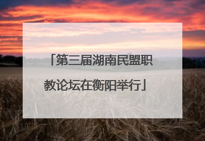 第三届湖南民盟职教论坛在衡阳举行