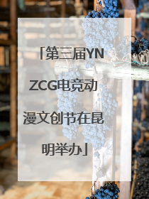 第三届YNZCG电竞动漫文创节在昆明举办