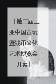 第二届三亚中国古玩暨钱币文化艺术博览会开幕