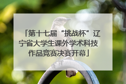 第十七届“挑战杯”辽宁省大学生课外学术科技作品竞赛决赛开幕