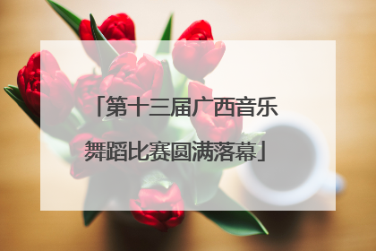 第十三届广西音乐舞蹈比赛圆满落幕