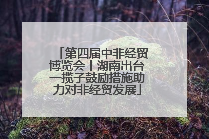 第四届中非经贸博览会丨湖南出台一揽子鼓励措施助力对非经贸发展