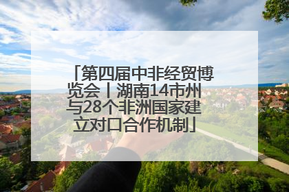 第四届中非经贸博览会丨湖南14市州与28个非洲国家建立对口合作机制