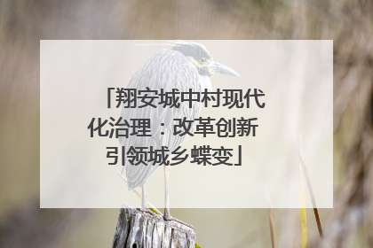 翔安城中村现代化治理：改革创新引领城乡蝶变