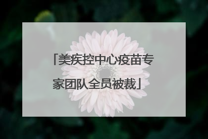美疾控中心疫苗专家团队全员被裁