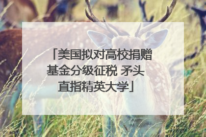 美国拟对高校捐赠基金分级征税 矛头直指精英大学