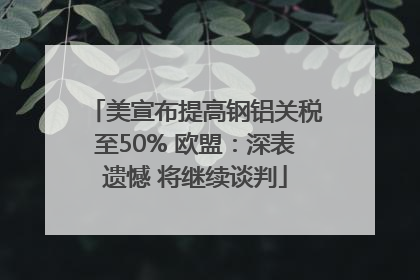 美宣布提高钢铝关税至50% 欧盟：深表遗憾 将继续谈判