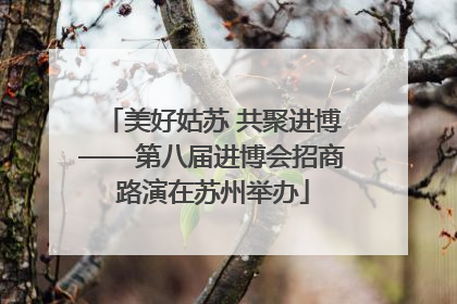美好姑苏 共聚进博——第八届进博会招商路演在苏州举办
