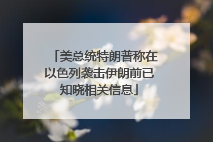 美总统特朗普称在以色列袭击伊朗前已知晓相关信息
