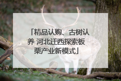 精品认购、古树认养 河北迁西探索板栗产业新模式
