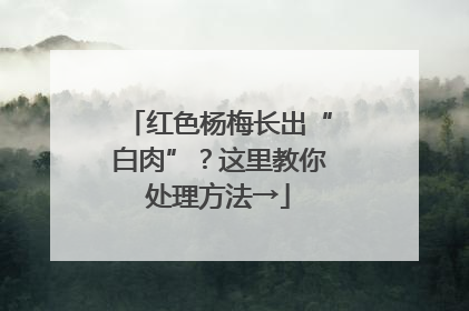 红色杨梅长出“白肉”？这里教你处理方法→