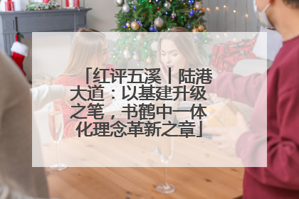 红评五溪丨陆港大道：以基建升级之笔，书鹤中一体化理念革新之章
