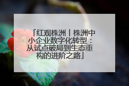 红观株洲丨株洲中小企业数字化转型：从试点破局到生态重构的进阶之路