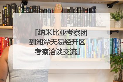 纳米比亚考察团到湘潭天易经开区考察洽谈交流