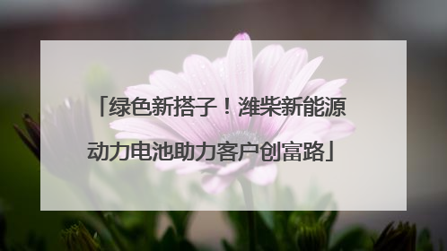 绿色新搭子！潍柴新能源动力电池助力客户创富路