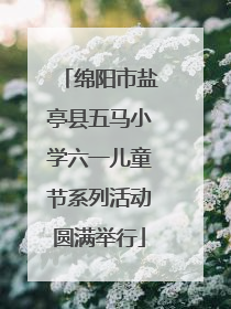 绵阳市盐亭县五马小学六一儿童节系列活动圆满举行