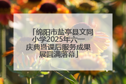 绵阳市盐亭县文同小学2025年六一庆典暨课后服务成果展圆满落幕