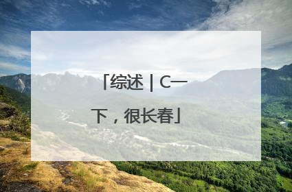 综述｜C一下，很长春