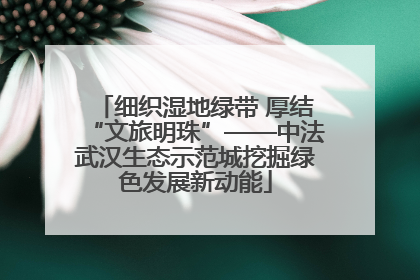 细织湿地绿带 厚结“文旅明珠”——中法武汉生态示范城挖掘绿色发展新动能