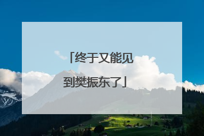 终于又能见到樊振东了