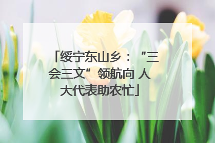 绥宁东山乡：“三会三文”领航向 人大代表助农忙