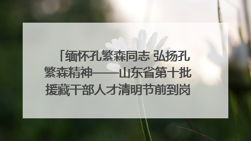 缅怀孔繁森同志 弘扬孔繁森精神——山东省第十批援藏干部人才清明节前到岗巴县开展党性教育