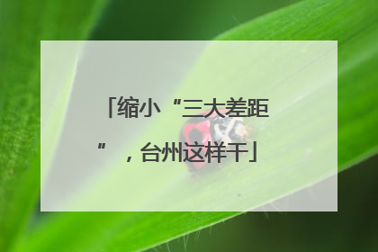 缩小“三大差距”，台州这样干