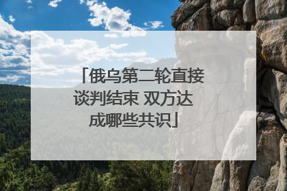 俄乌第二轮直接谈判结束 双方达成哪些共识