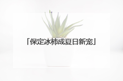 保定冰柿成夏日新宠