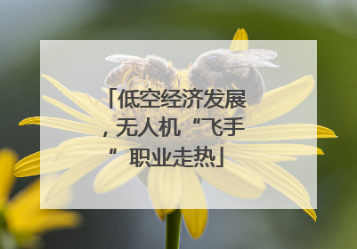 低空经济发展，无人机“飞手”职业走热