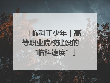 临科正少年｜高等职业院校建设的“临科速度”