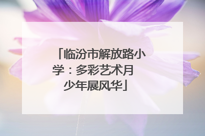 临汾市解放路小学：多彩艺术月 少年展风华