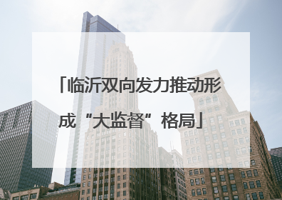 临沂双向发力推动形成“大监督”格局