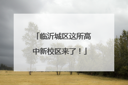 临沂城区这所高中新校区来了！