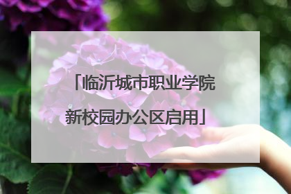 临沂城市职业学院新校园办公区启用