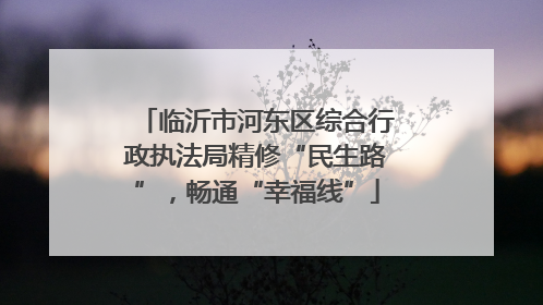 临沂市河东区综合行政执法局精修“民生路”，畅通“幸福线”