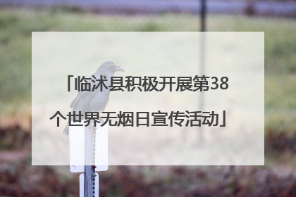 临沭县积极开展第38个世界无烟日宣传活动