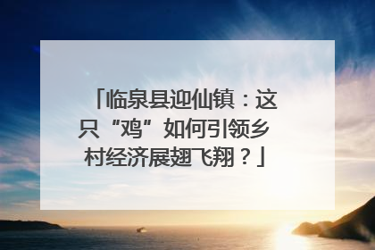 临泉县迎仙镇：这只“鸡”如何引领乡村经济展翅飞翔？