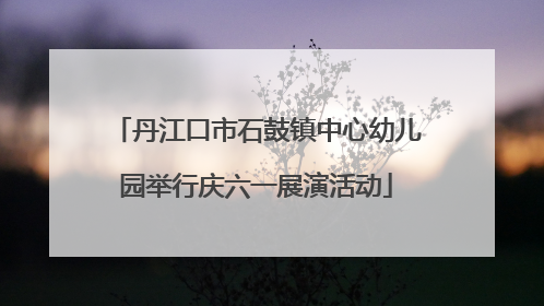 丹江口市石鼓镇中心幼儿园举行庆六一展演活动