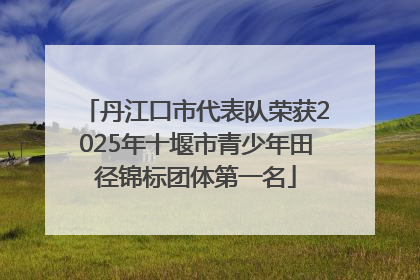 丹江口市代表队荣获2025年十堰市青少年田径锦标团体第一名