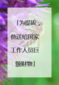 为提拔，他送给国家工作人员巨额财物