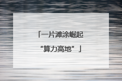 一片滩涂崛起“算力高地”