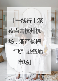 一线行丨深夜直击杭州机场，浙产杨梅“飞”赴各地市场